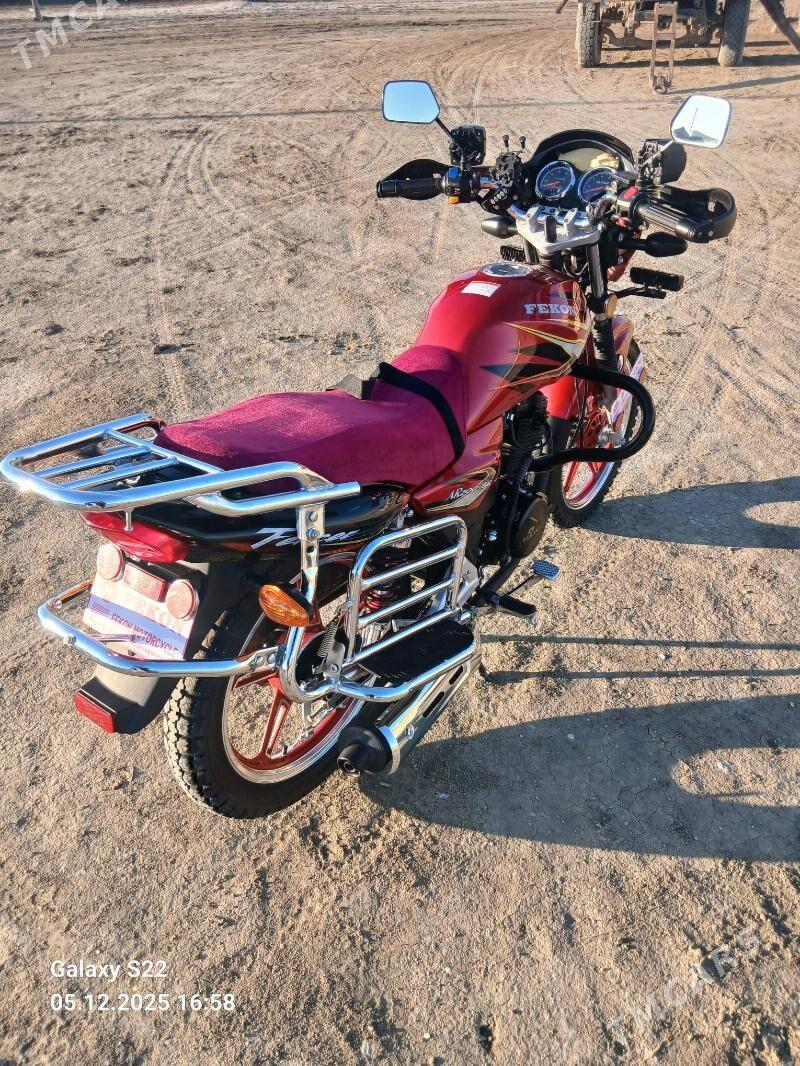 Fekon FK200-14G 2025 - 18 000 TMT - Этрек - img 3