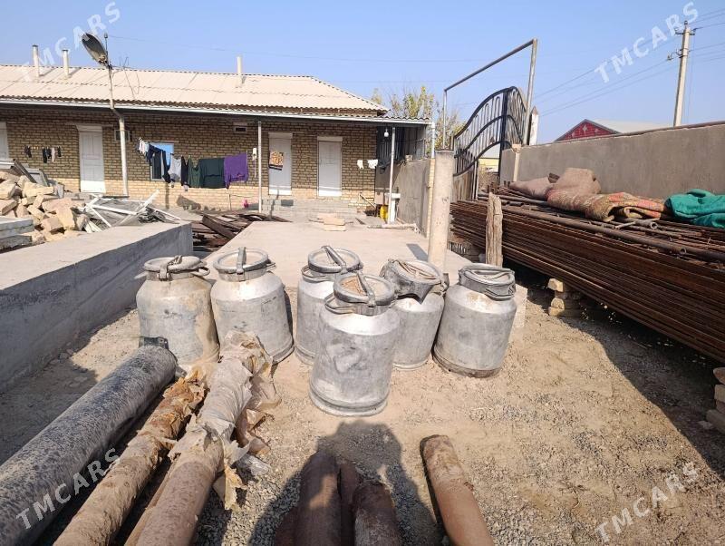 Flyaga - Mary - img 1