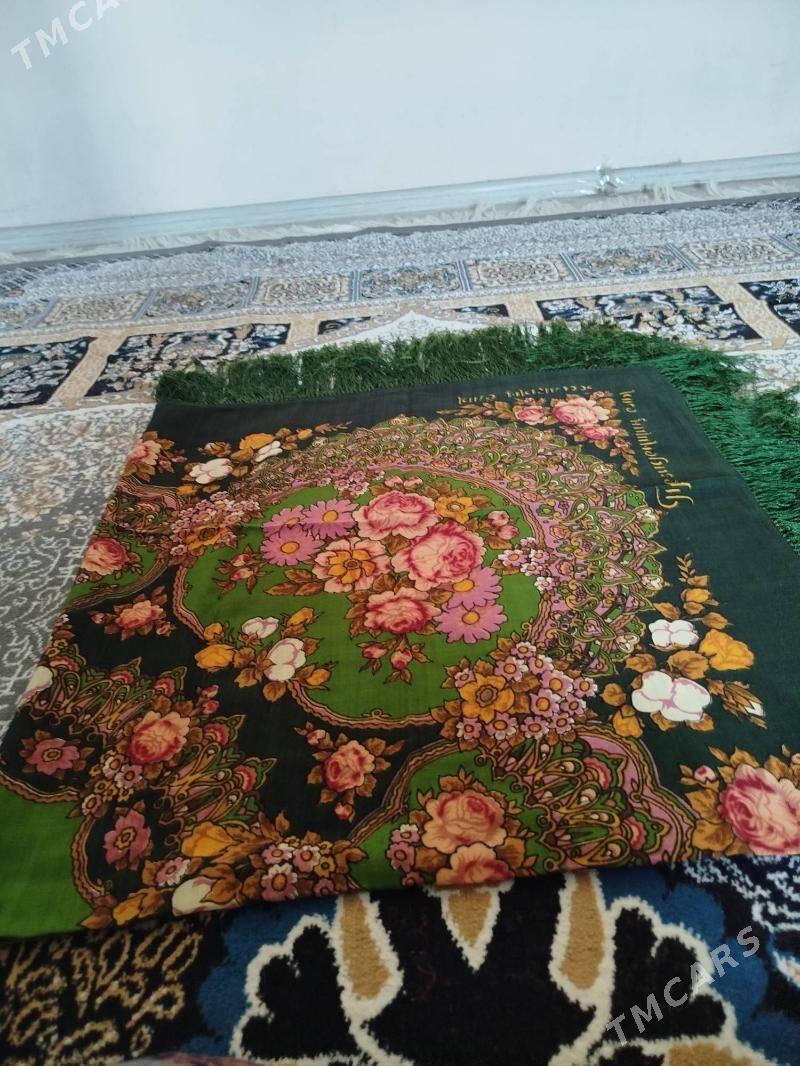 Gynac - Gurtly - img 1