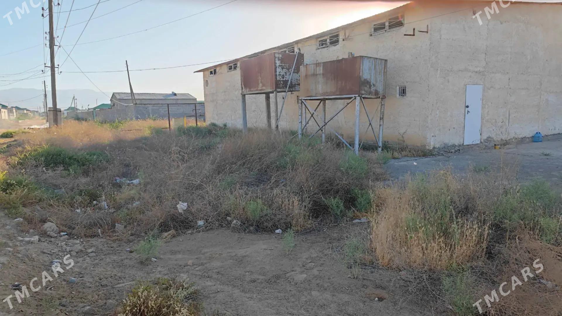 Önümçilik üçin bina - Ak bugdaý etraby - img 2