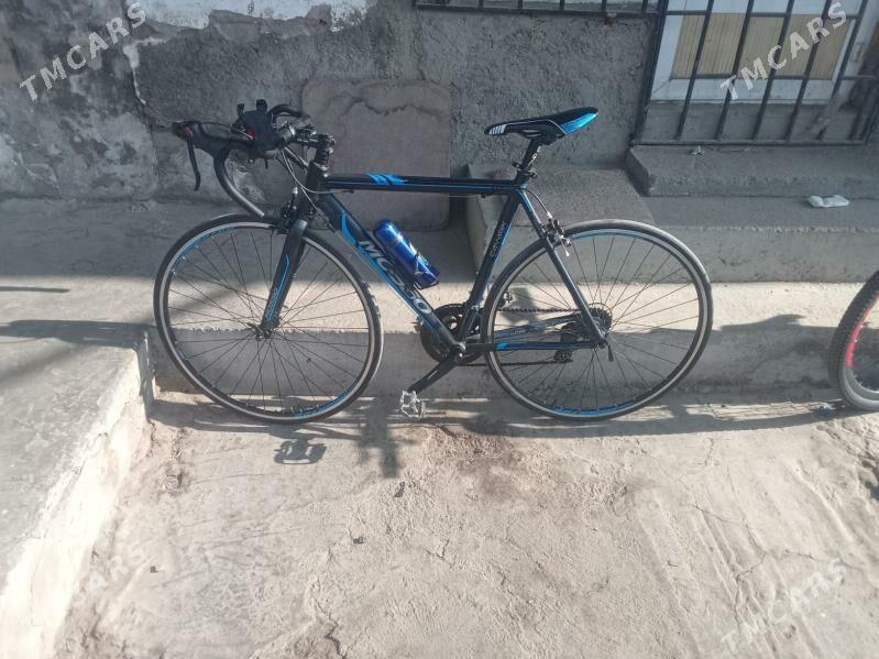 вела спорт - Туркменабат - img 2