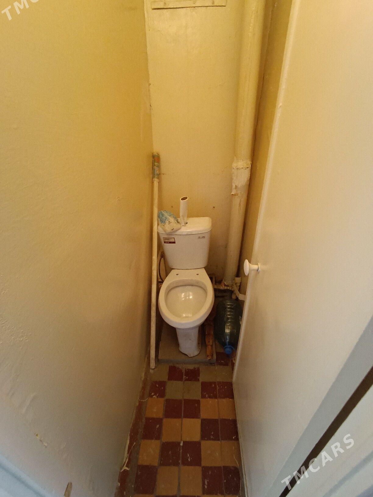 Satlyk jay - Mary - img 6