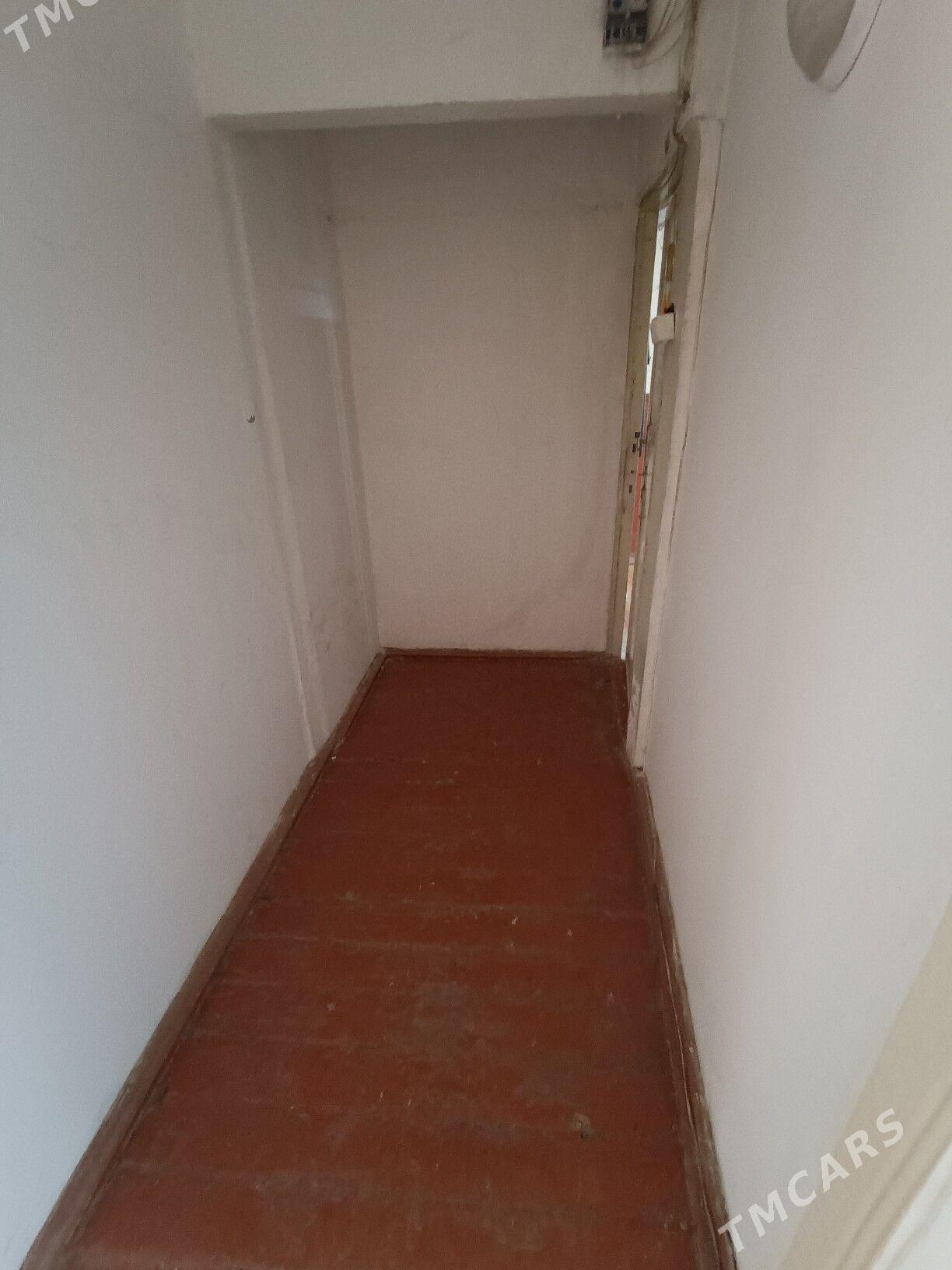 Satlyk jay - Mary - img 7