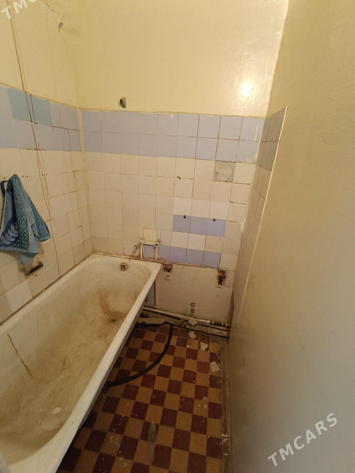 Satlyk jay - Mary - img 8