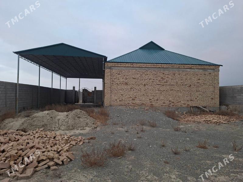 plon jay - Bäherden - img 1