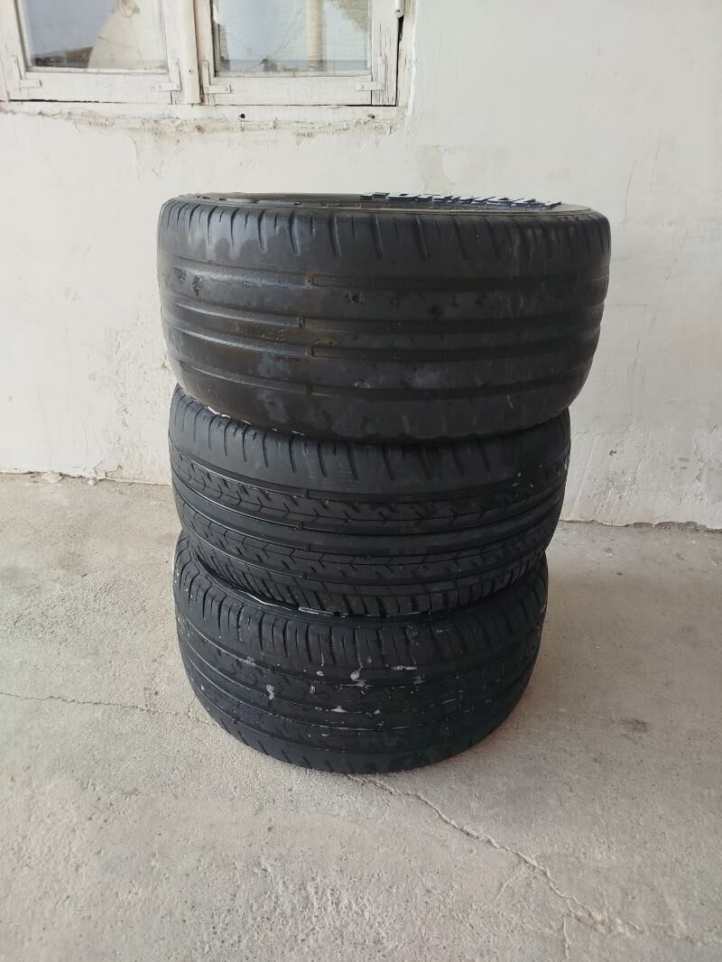 Formula 13 r 800 TMT - Яшлык - img 3