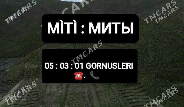 MİTİ SEBİL DERS GYRAWYL CAGE - Арзув - img 2