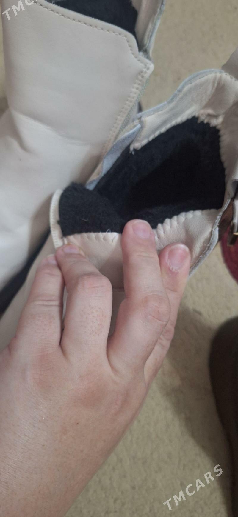 caga adik - Гаудан "В" - img 1