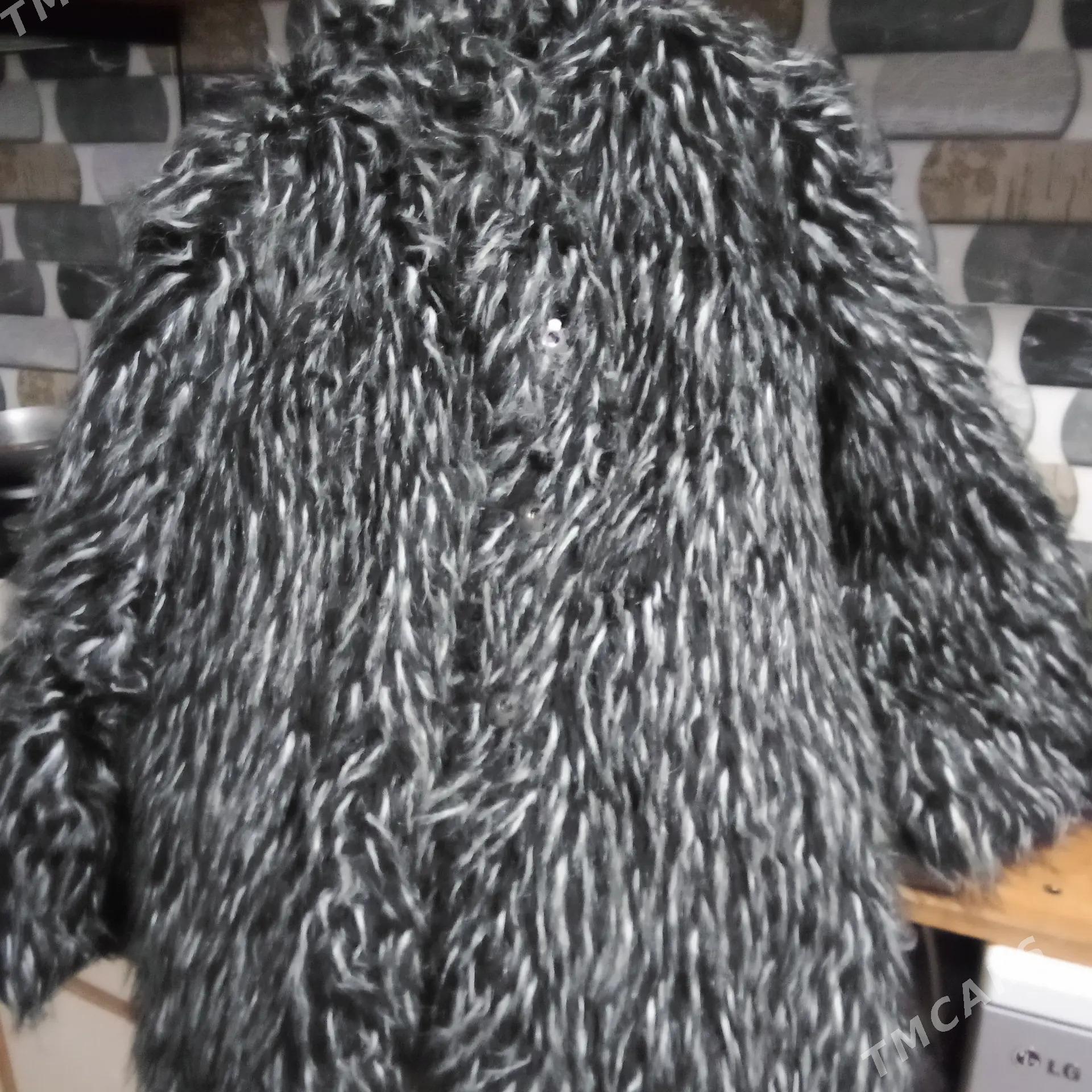 şuba - Туркменбаши - img 3