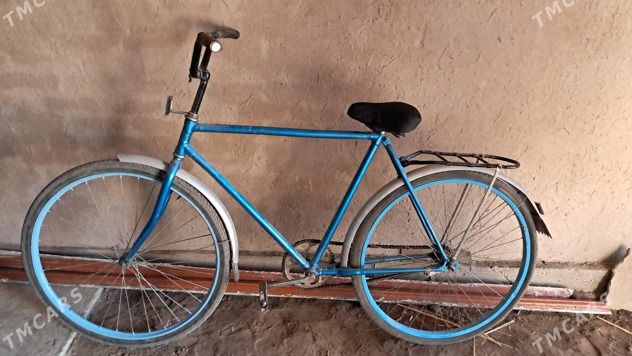 welosepet - Гурбансолтан Едже - img 3