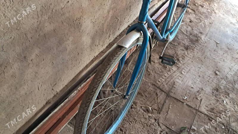 welosepet - Гурбансолтан Едже - img 2