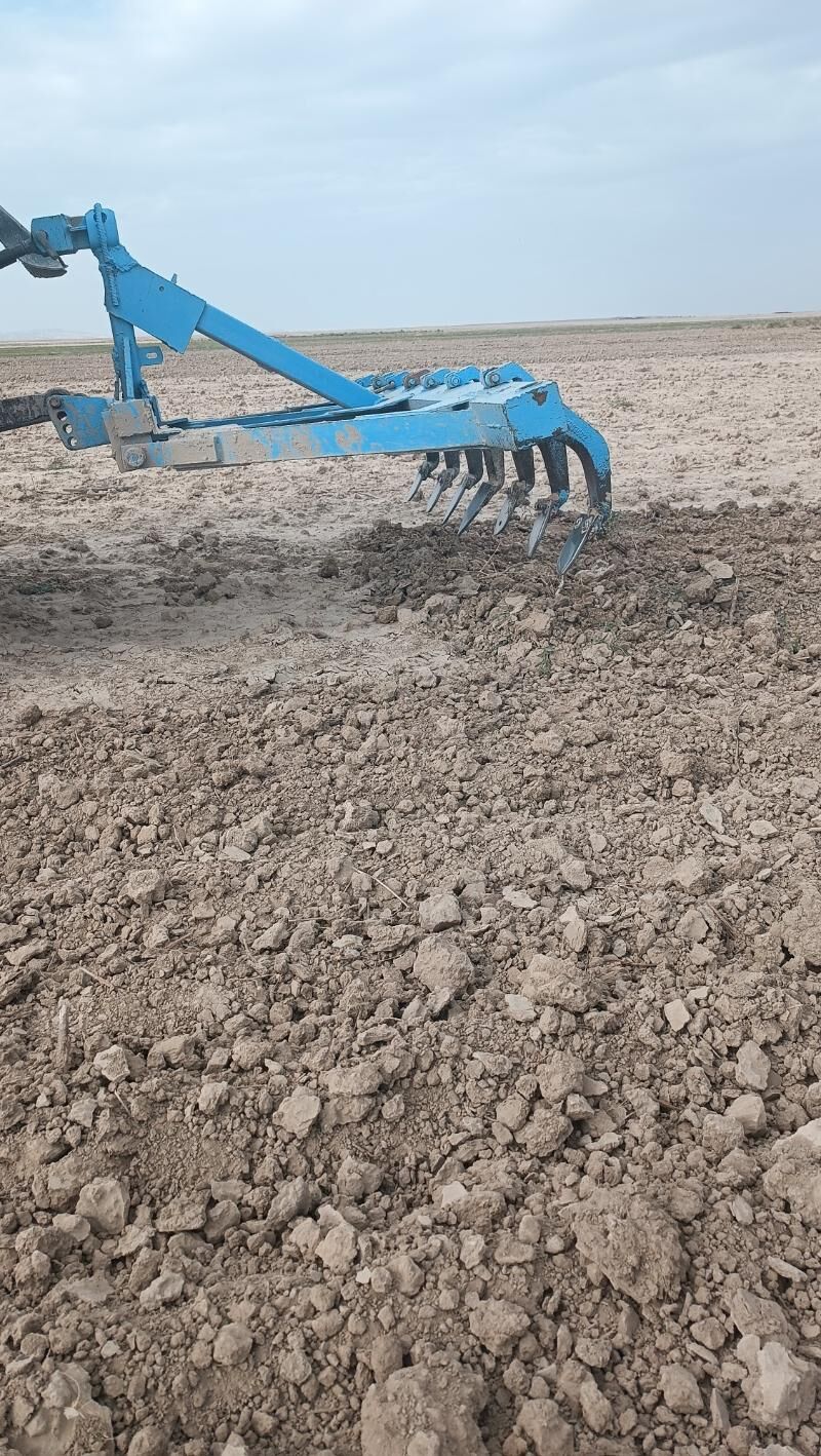 Mtz yer suryan 5 000 TMT - Кака - img 3