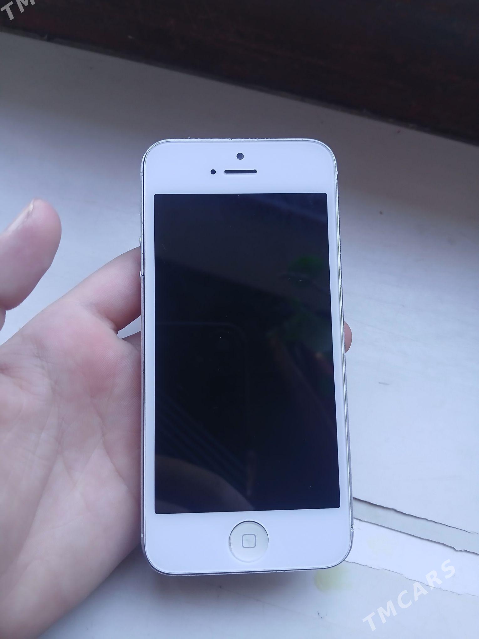 iphone 5 - Дашогуз - img 5