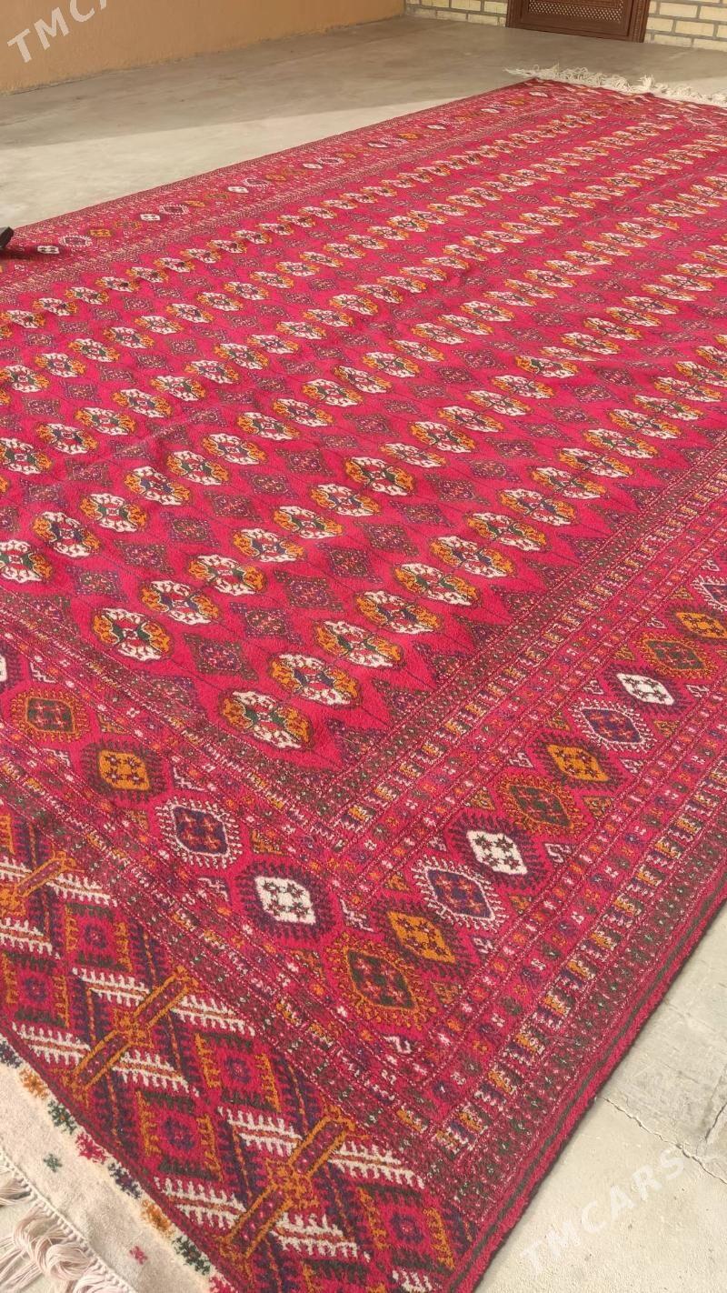 el haly 3/5 - Бахарден - img 1