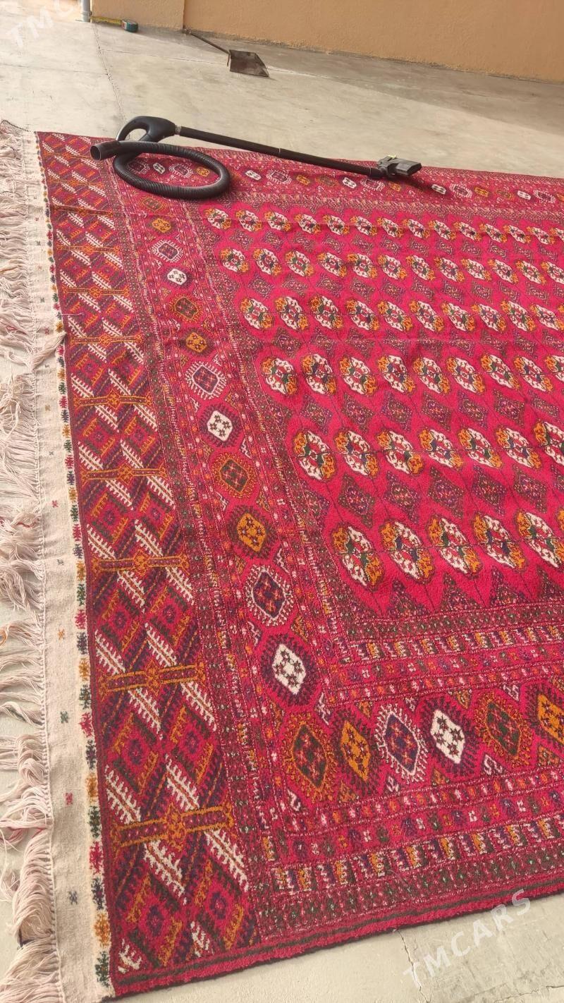 el haly 3/5 - Бахарден - img 2