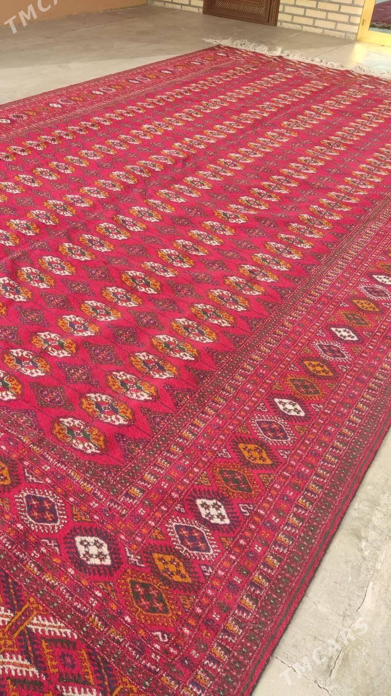 el haly 3/5 - Бахарден - img 3