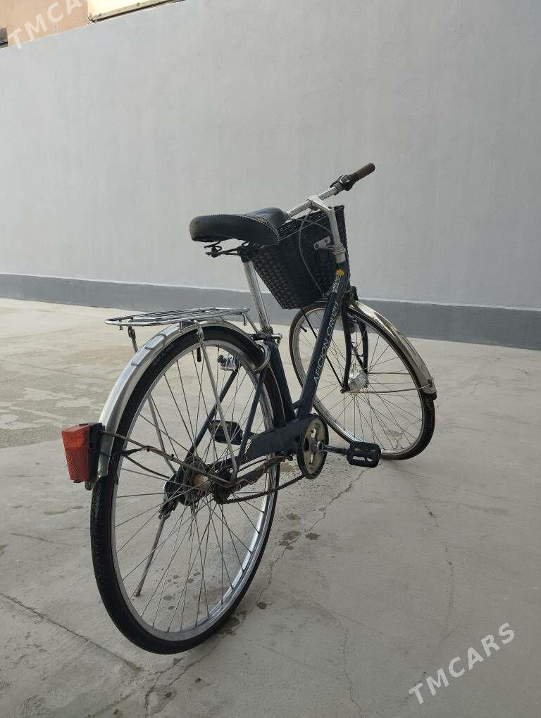 tigir - Анев - img 2