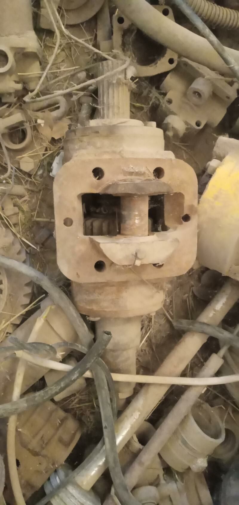 nasos 3 000 TMT - Sakarçäge - img 3