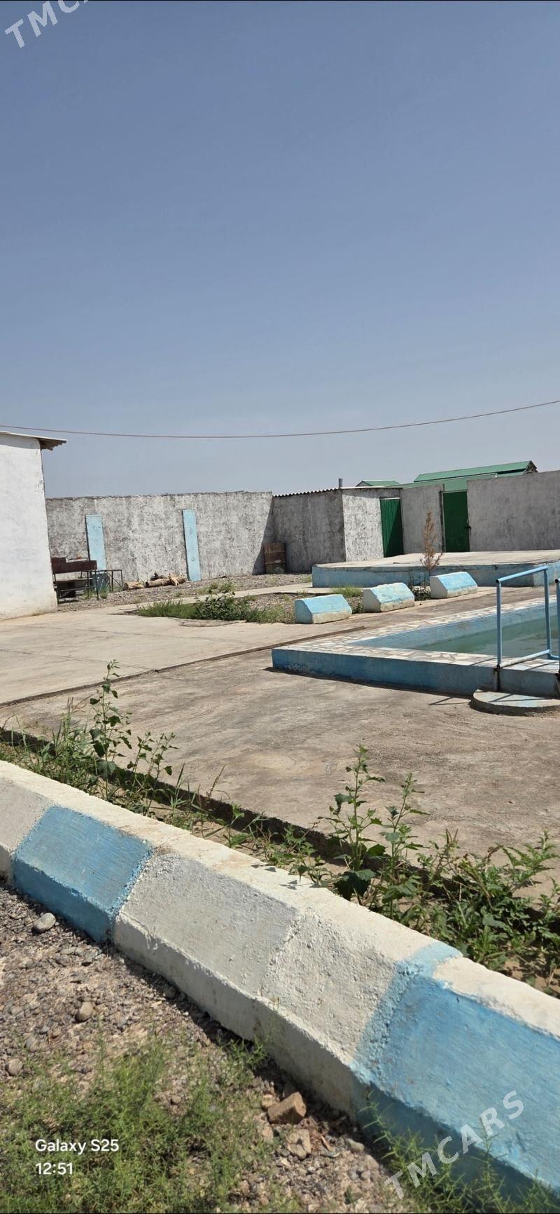 ucasga - Kaka - img 1