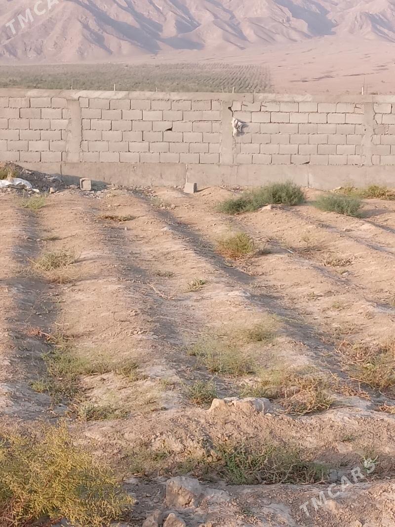 satlyk jaý - Gökdepe - img 3