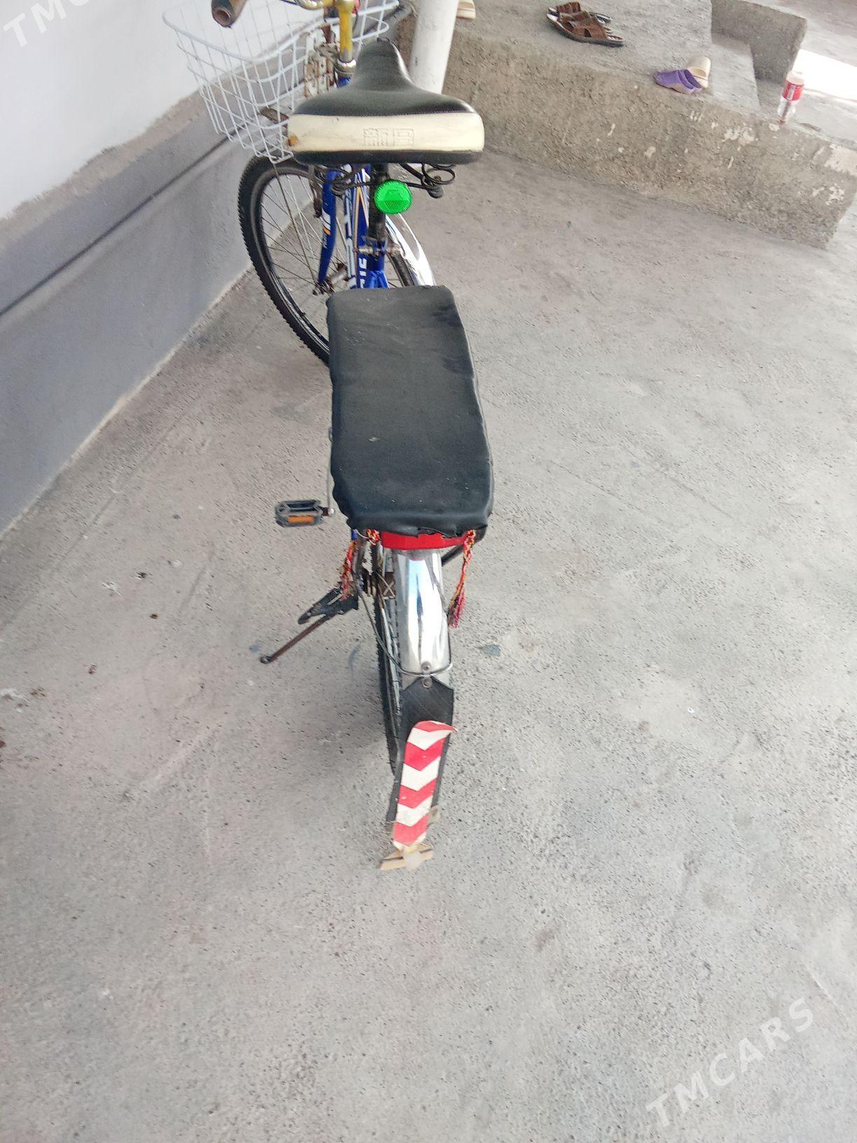 tigir - Чоганлы - img 2