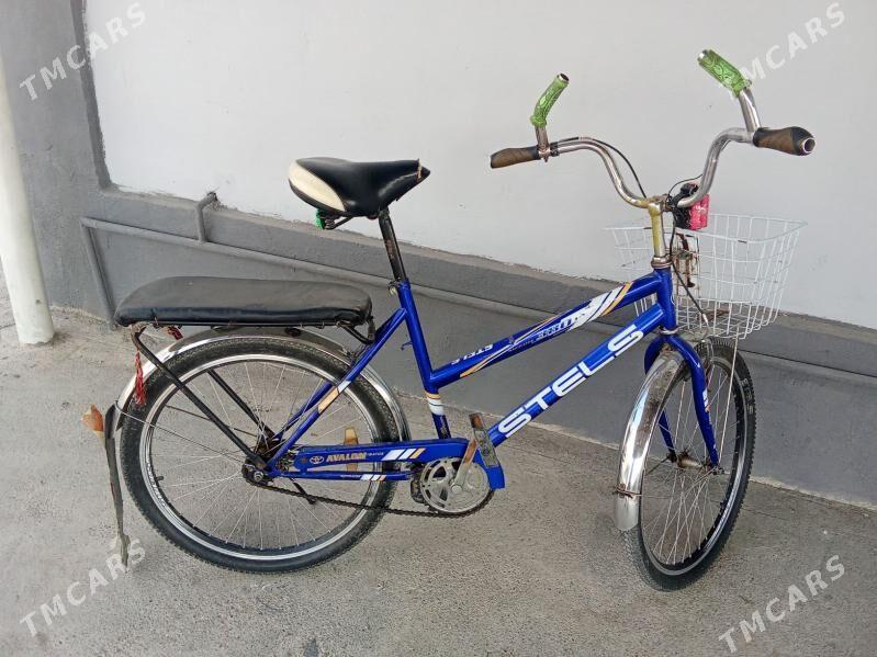 tigir - Чоганлы - img 3