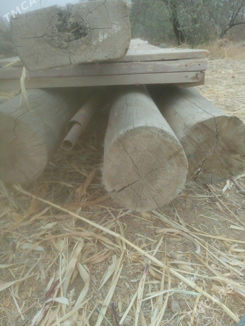 rasiski agac boyi 6metir - Болдумсаз - img 2