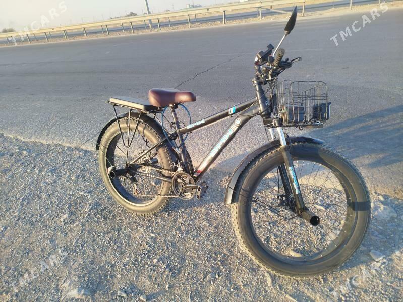 Tigir - Ýaşlyk - img 3