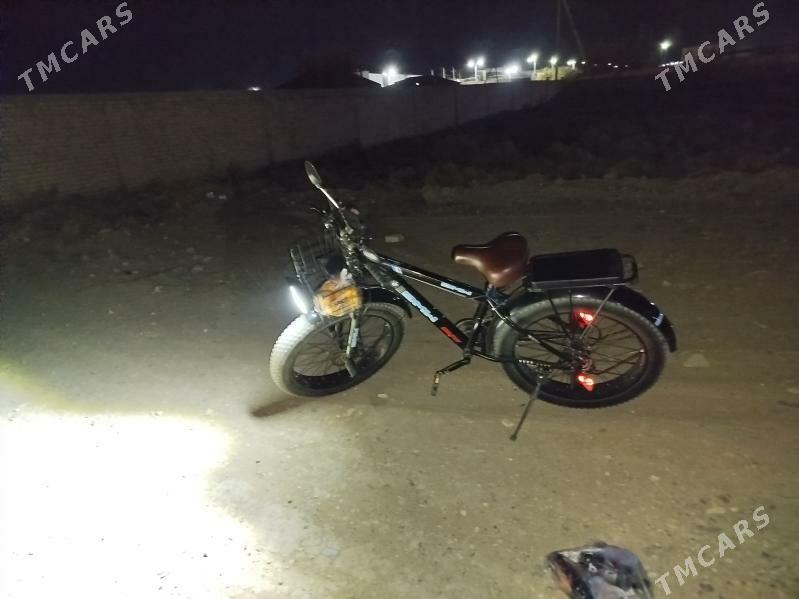 Tigir - Ýaşlyk - img 2