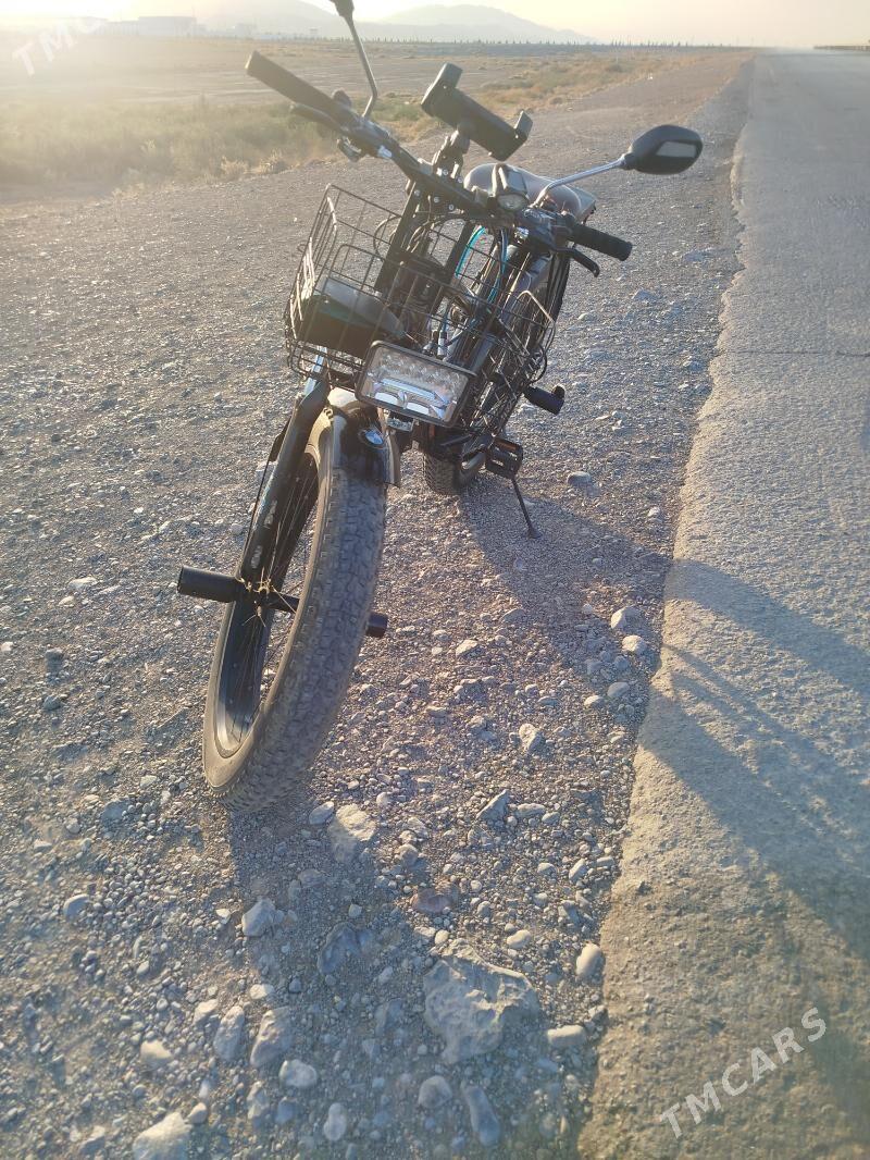 Tigir - Ýaşlyk - img 4