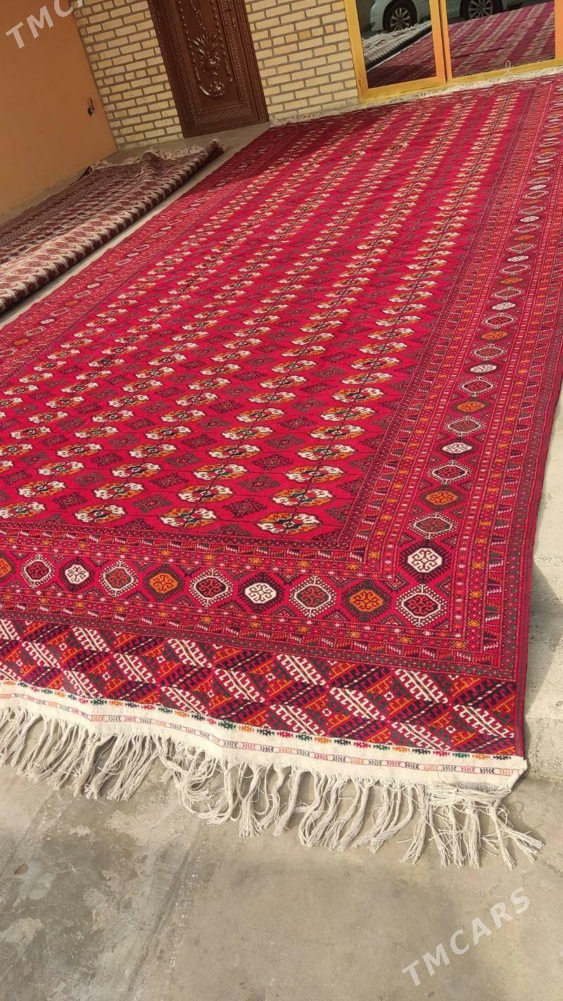 el haly 3/7 - Бахарден - img 2