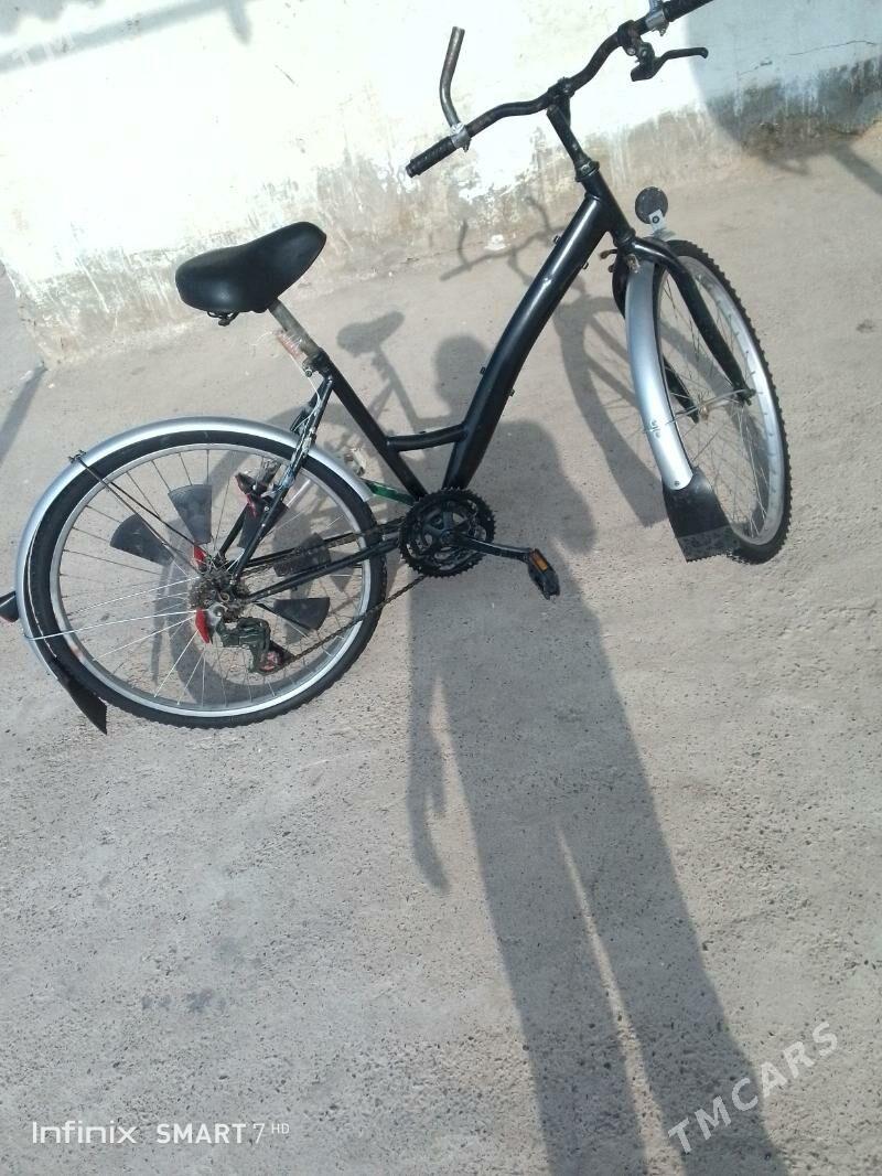 tigir - Теджен - img 2