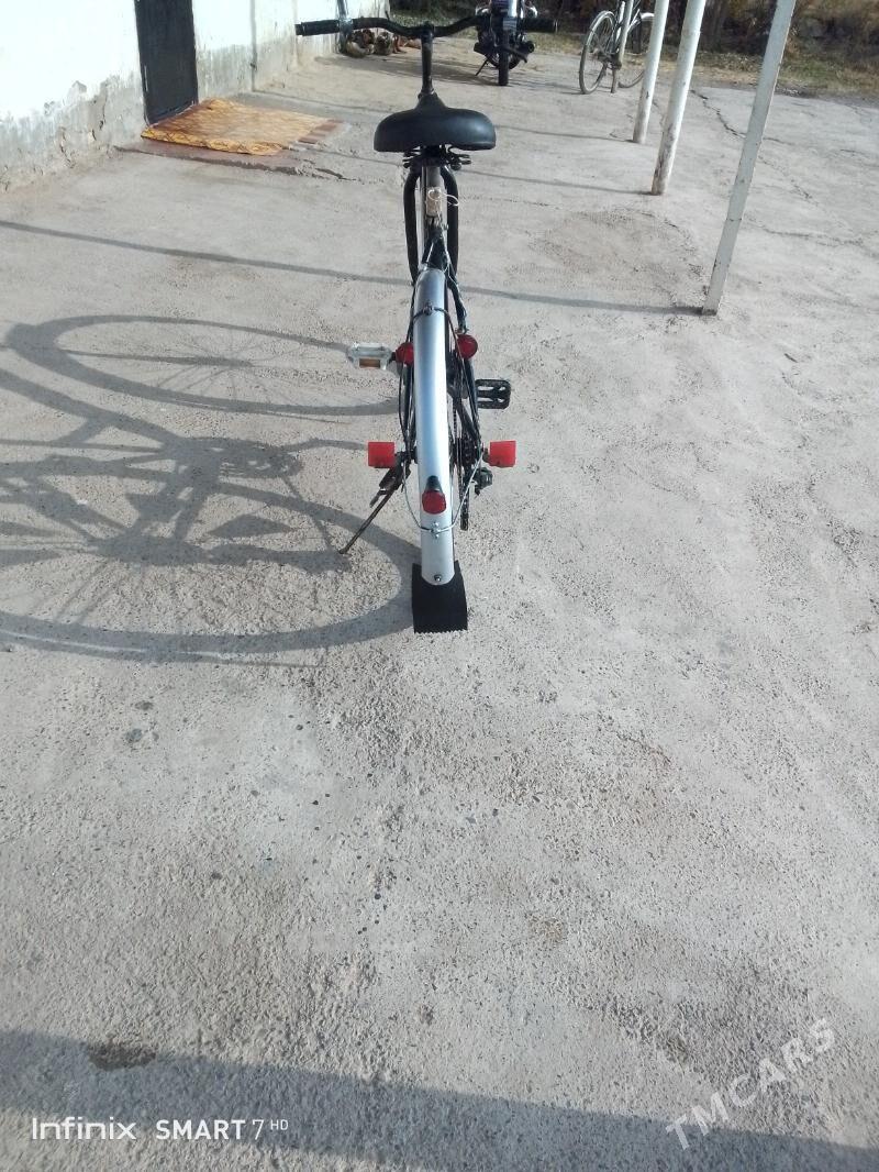 tigir - Теджен - img 3