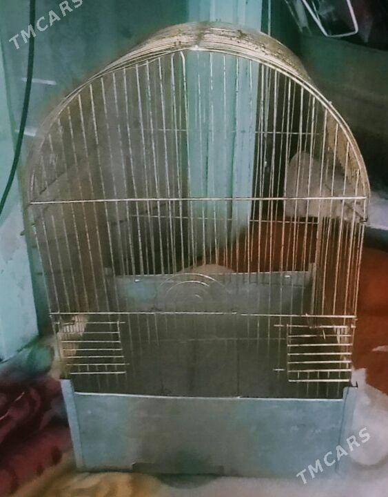 guş kapasa сетка для птиц - 11 mkr - img 1