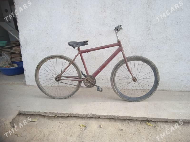 tigir - Кëши - img 2