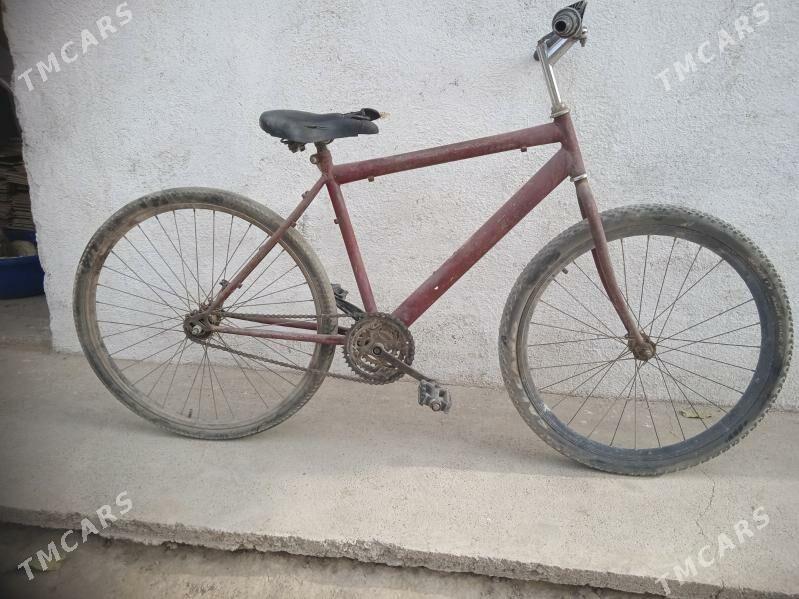 tigir - Кëши - img 3