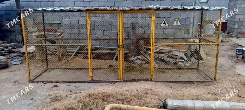 ketek - Гарадамак Шор - img 2