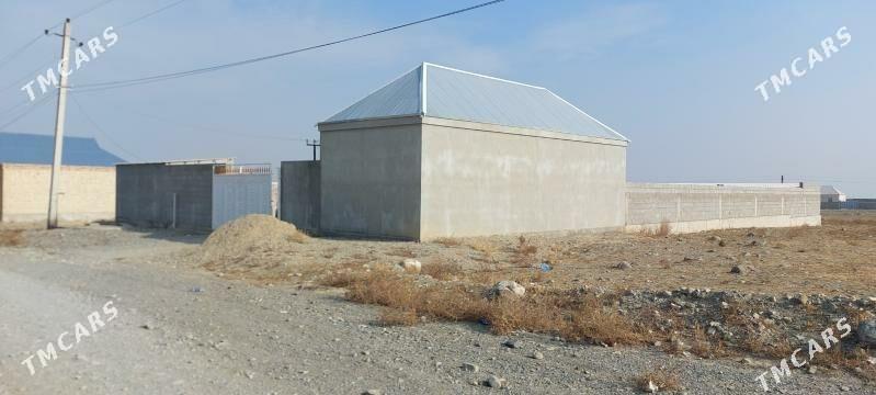 Satlyk jay - Bäherden - img 2