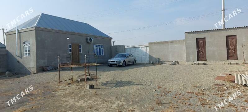 Satlyk jay - Bäherden - img 4