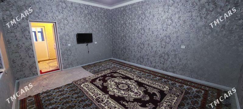 Satlyk jay - Bäherden - img 8