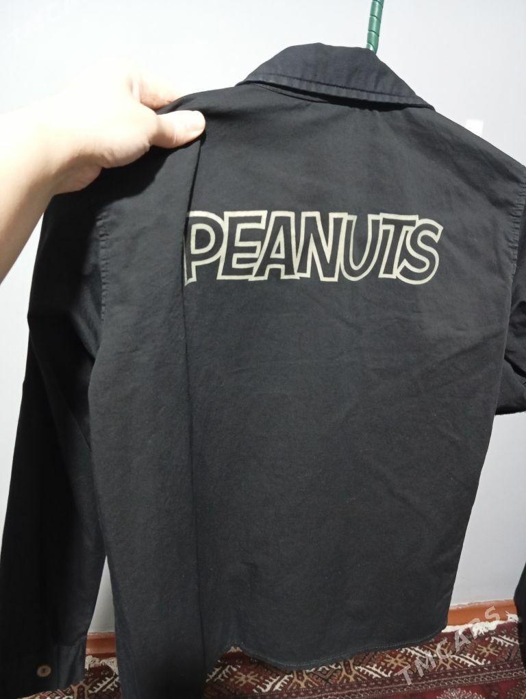 çaga eşik - Türkmenabat - img 2