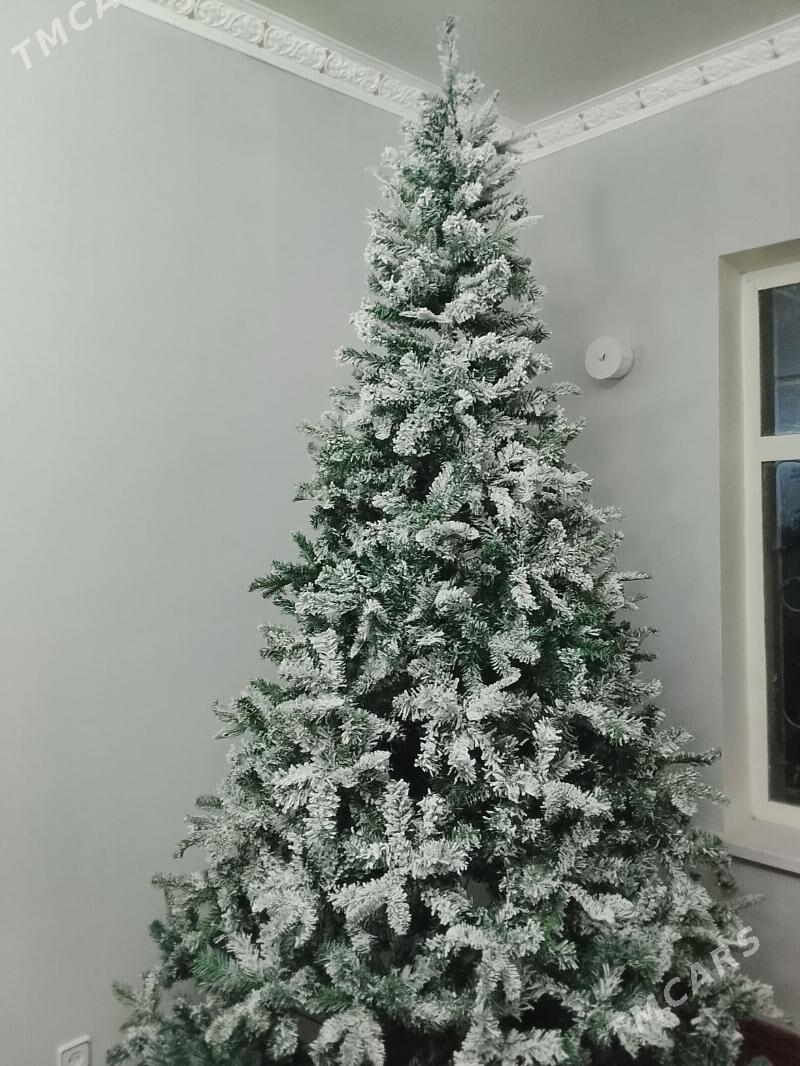 Yolka Arca - Aşgabat - img 1