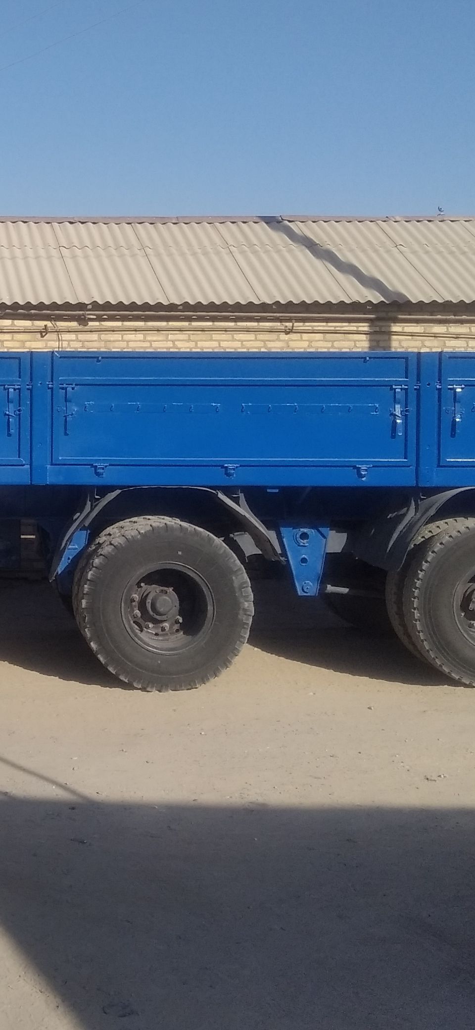 Bort 600 TMT - Sakarçäge - img 1