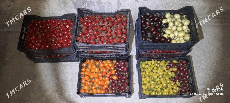 Işgãr oglsn-gyz gerek - Гёкдепе - img 6