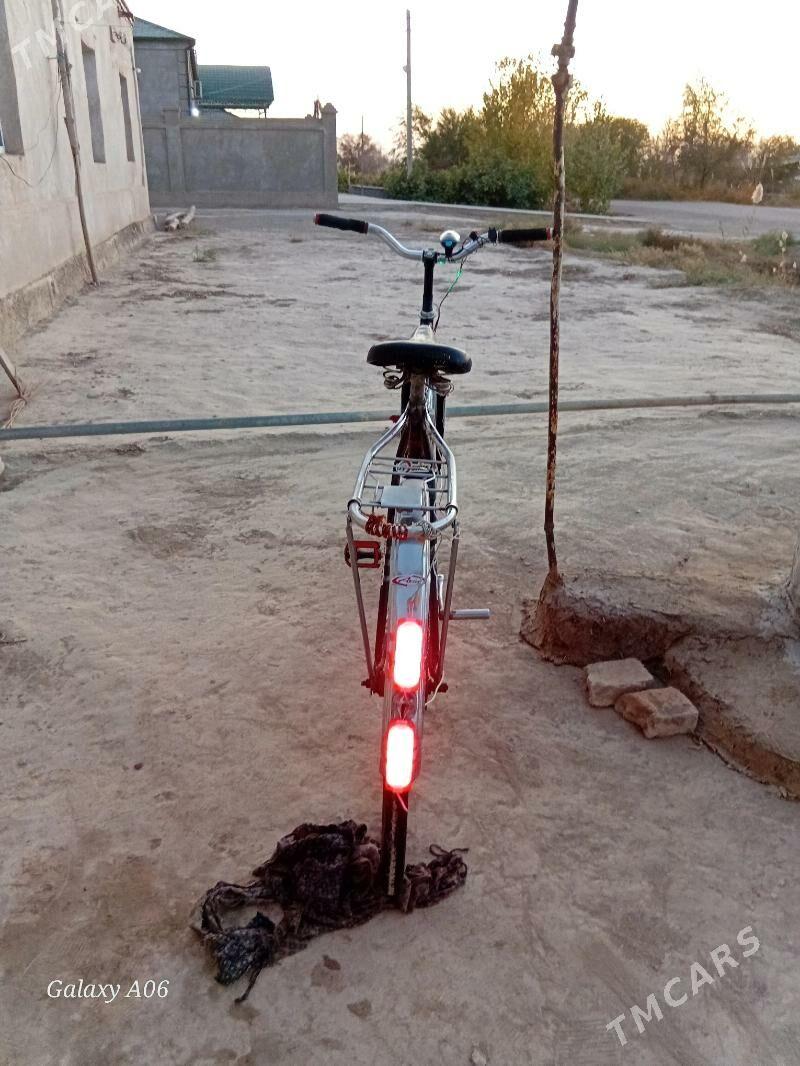 welosapet - Болдумсаз - img 6