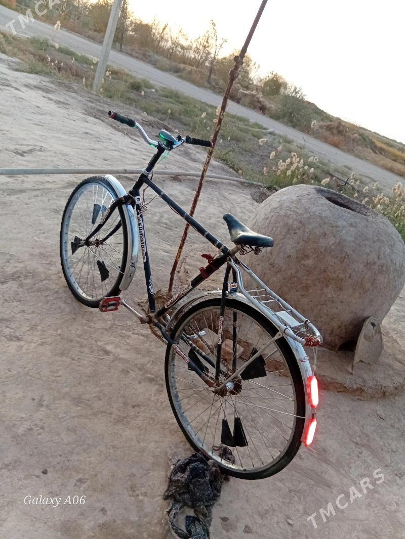 welosapet - Болдумсаз - img 7