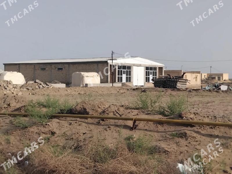 Satlyk sklad Şatlyk Şaherde - Шатлык - img 4