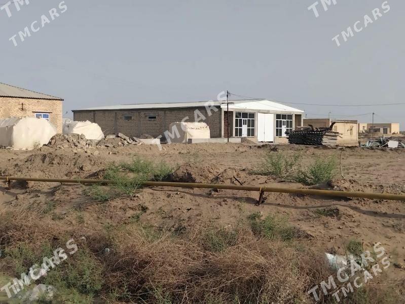 Satlyk sklad Şatlyk Şaherde - Шатлык - img 7