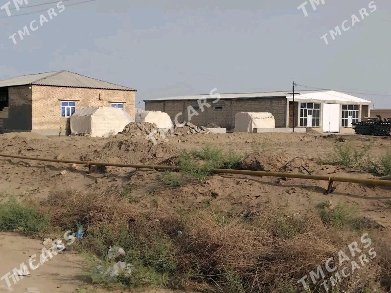 Satlyk sklad Şatlyk Şaherde - Шатлык - img 9