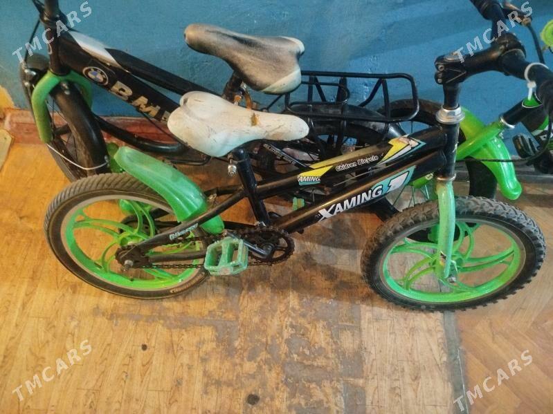 тигир - Хитровка - img 2